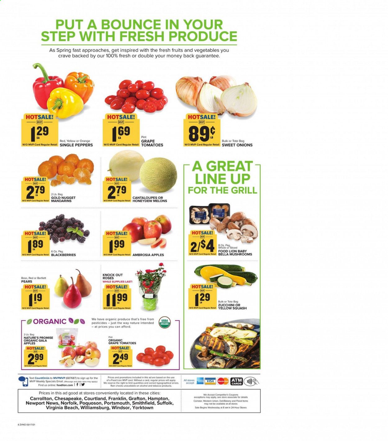 Food Lion (VA) Weekly Ad Flyer March 17 to March 23
