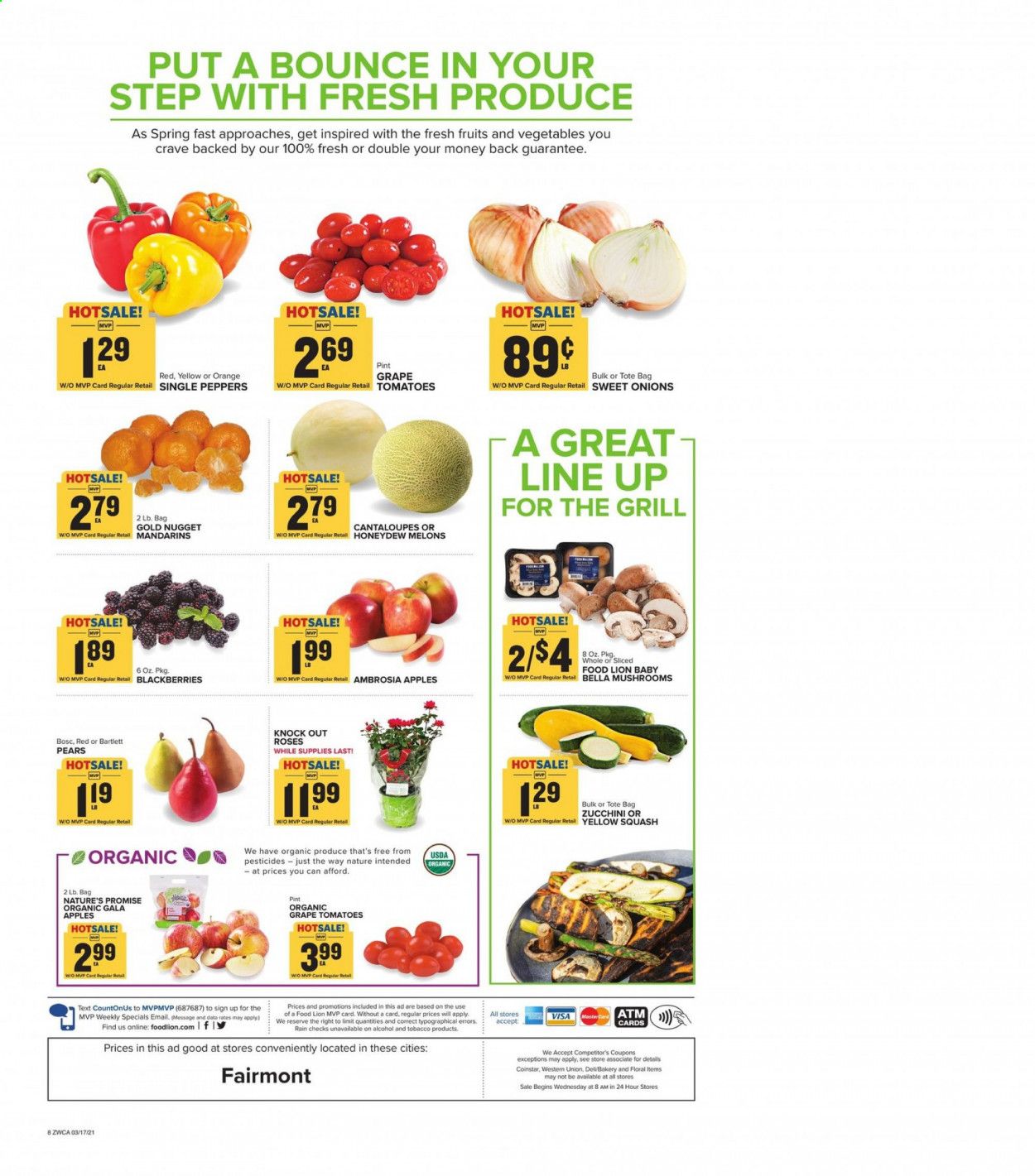 Food Lion (WV) Weekly Ad Flyer March 17 to March 23