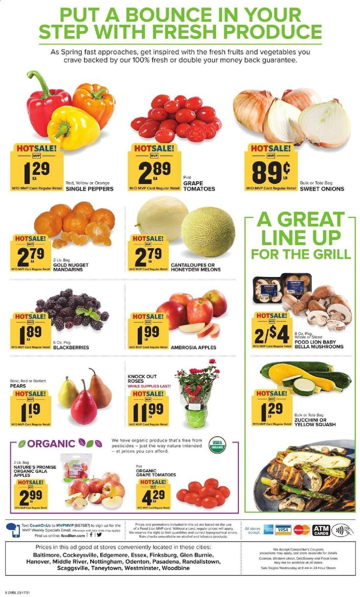 Food Lion (MD) Weekly Ad Flyer March 17 to March 23