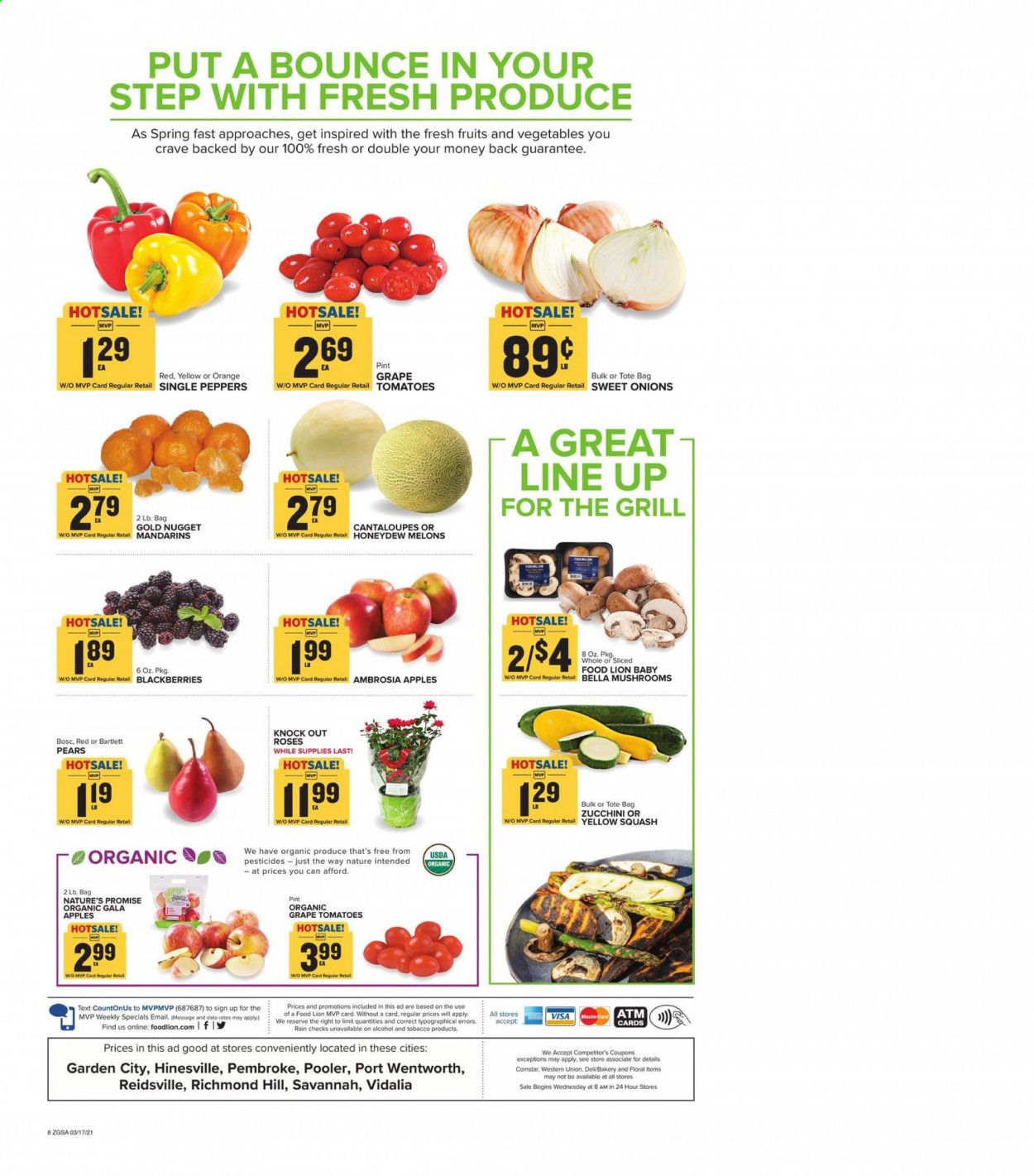 Food Lion (GA) Weekly Ad Flyer March 17 to March 23