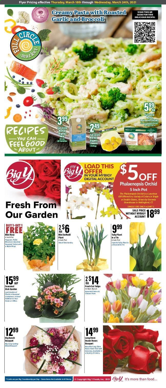 Big Y (CT) Weekly Ad Flyer March 18 to March 24