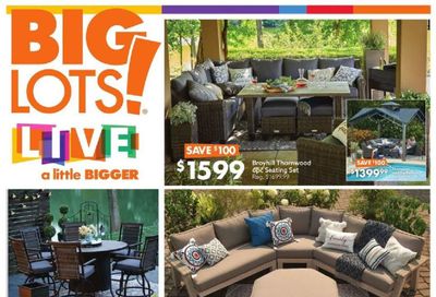Big Lots Weekly Ad Flyer March 20 to March 27