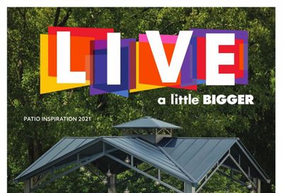 Big Lots Weekly Ad Flyer March 18 to August 15