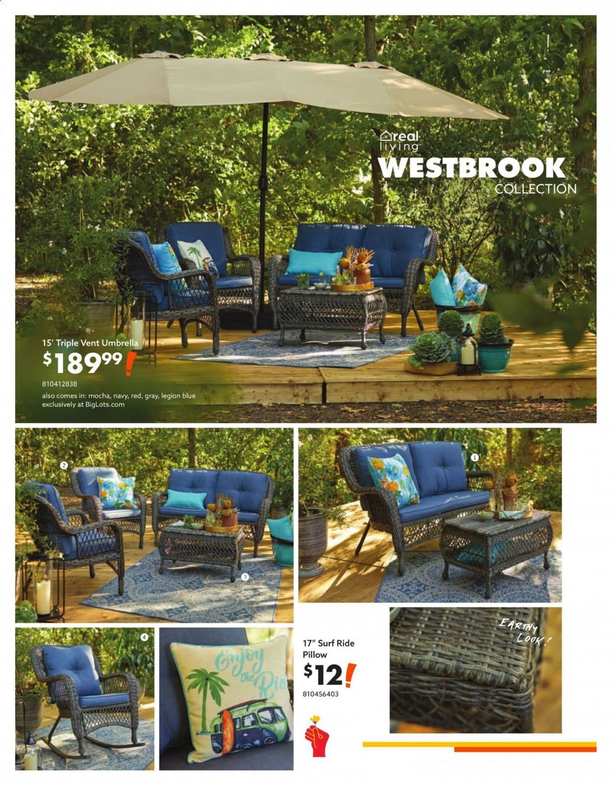 Big Lots Weekly Ad Flyer March 18 to August 15