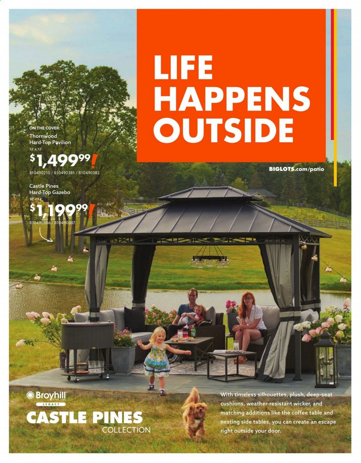 Big Lots Weekly Ad Flyer March 18 to August 15