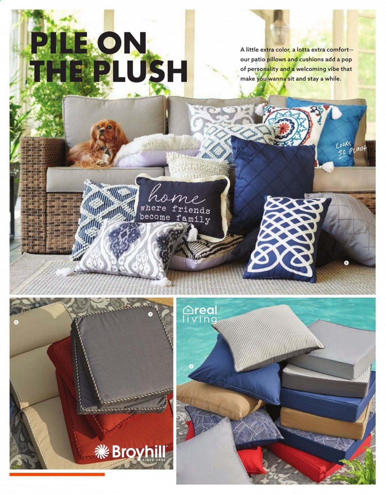 Big Lots Weekly Ad Flyer March 18 to August 15