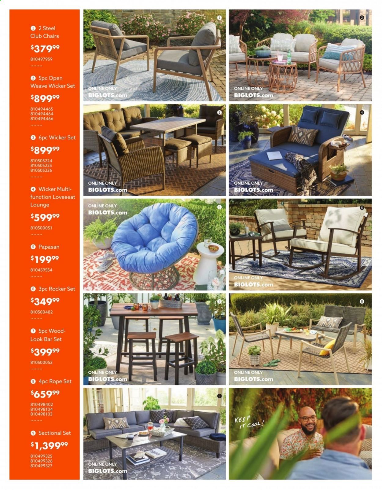 Big Lots Weekly Ad Flyer March 18 to August 15
