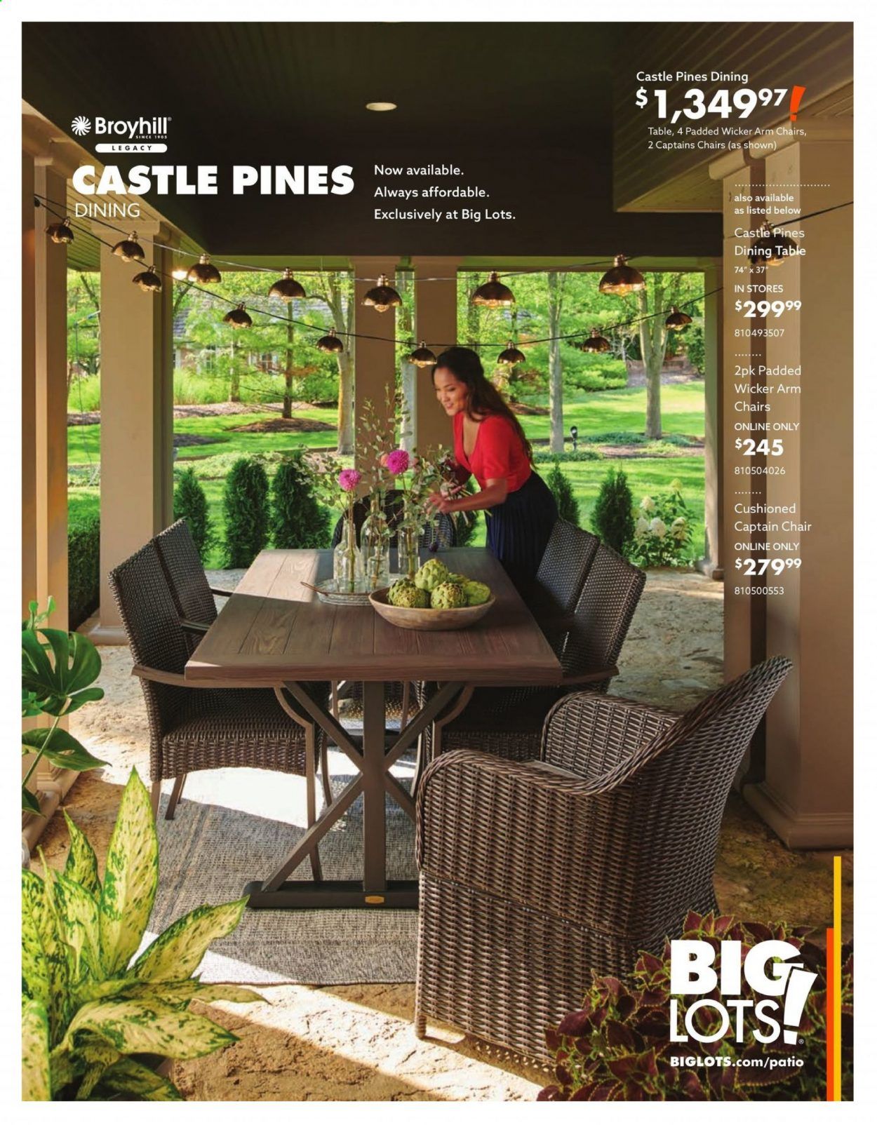Big Lots Weekly Ad Flyer March 18 to August 15