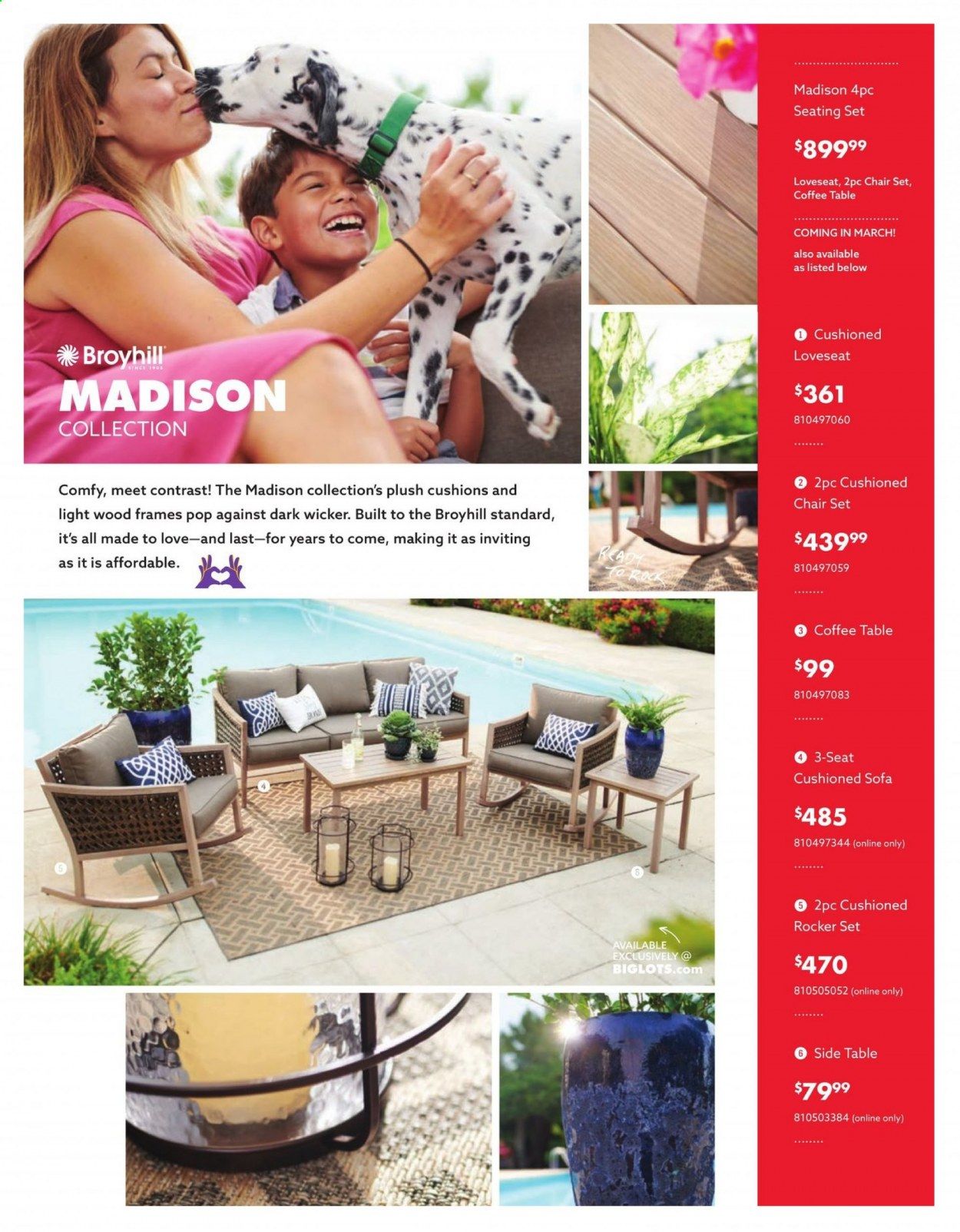 Big Lots Weekly Ad Flyer March 18 to August 15