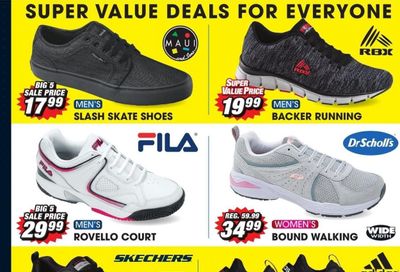 Big 5 Weekly Ad Flyer March 21 to March 27