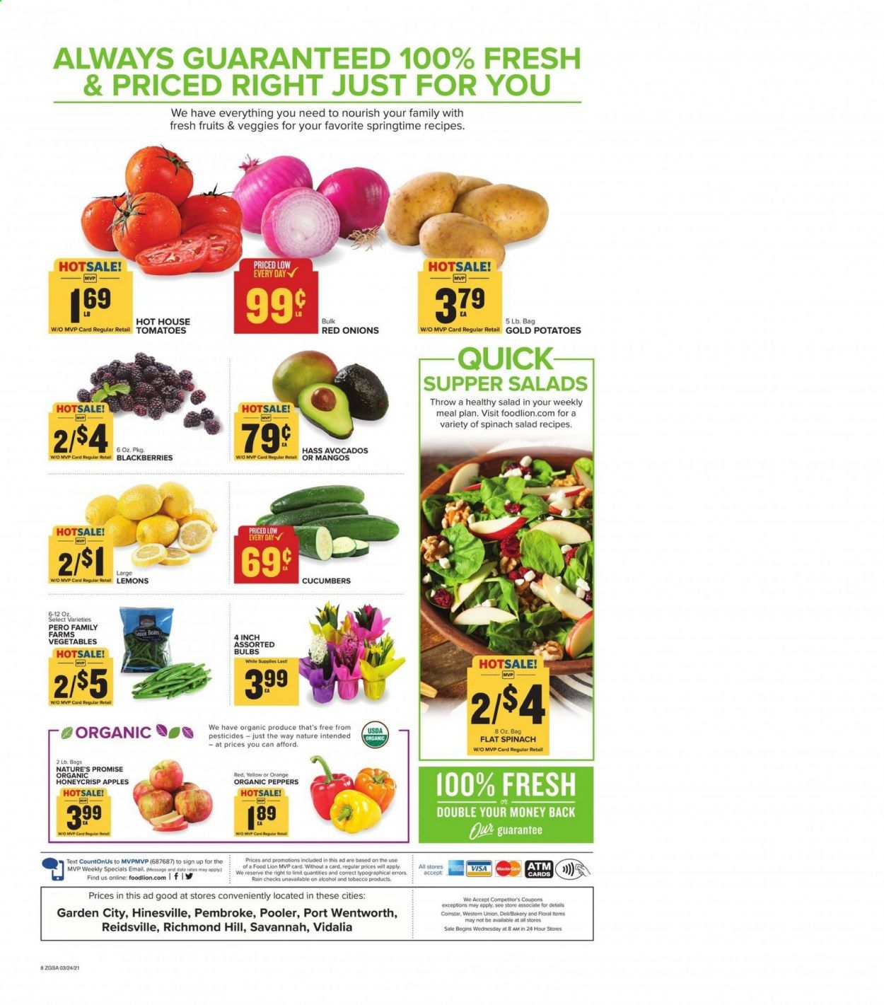 Food Lion (GA) Weekly Ad Flyer March 24 to March 30
