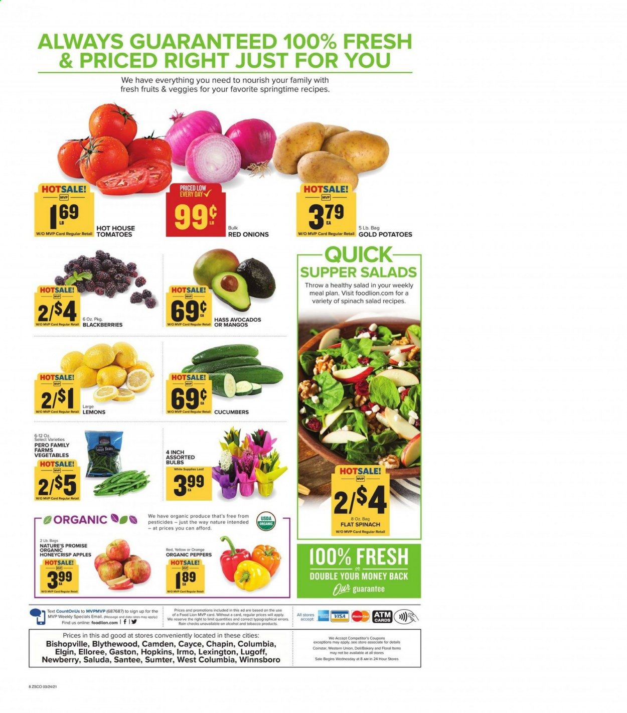 Food Lion (SC) Weekly Ad Flyer March 24 to March 30