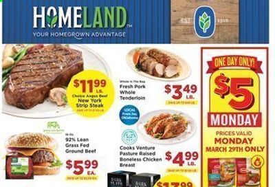 Homeland (OK, TX) Weekly Ad Flyer March 24 to March 30