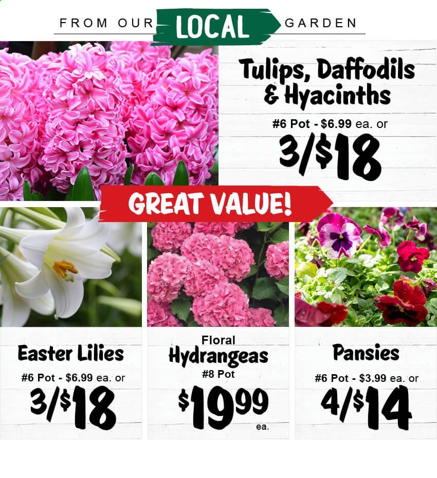 Stew Leonard's Weekly Ad Flyer March 24 to March 30