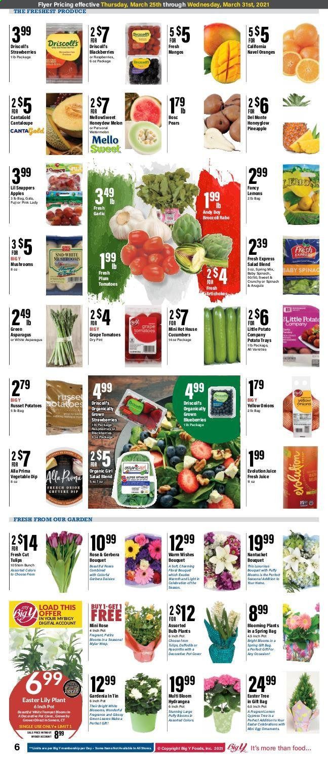 Big Y (CT) Weekly Ad Flyer March 25 to March 31