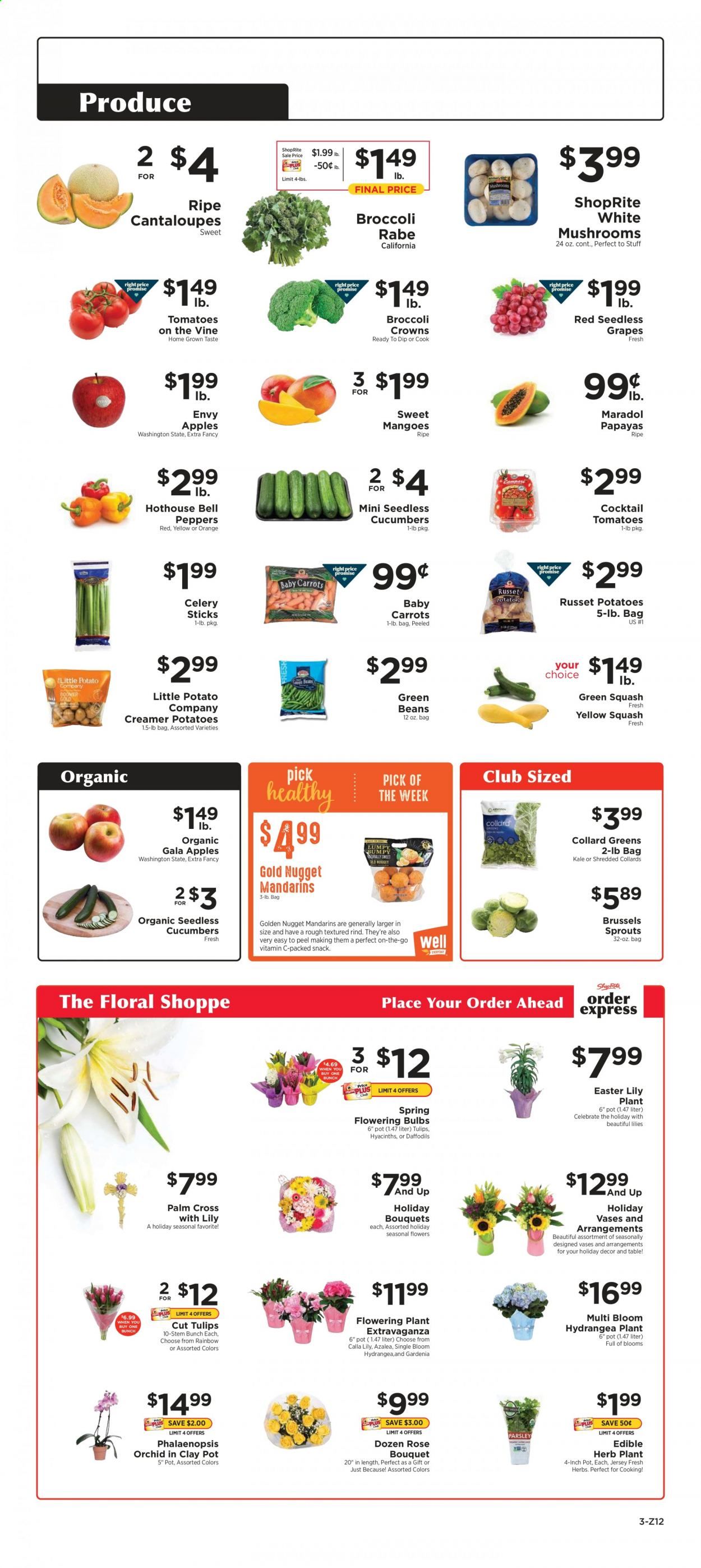 ShopRite (CT, DE, MD, NJ, NY, PA) Weekly Ad Flyer March 28 to April 3