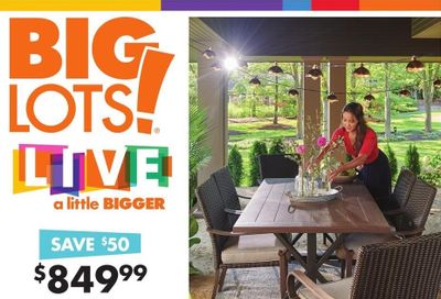 Big Lots Weekly Ad Flyer March 27 to April 4