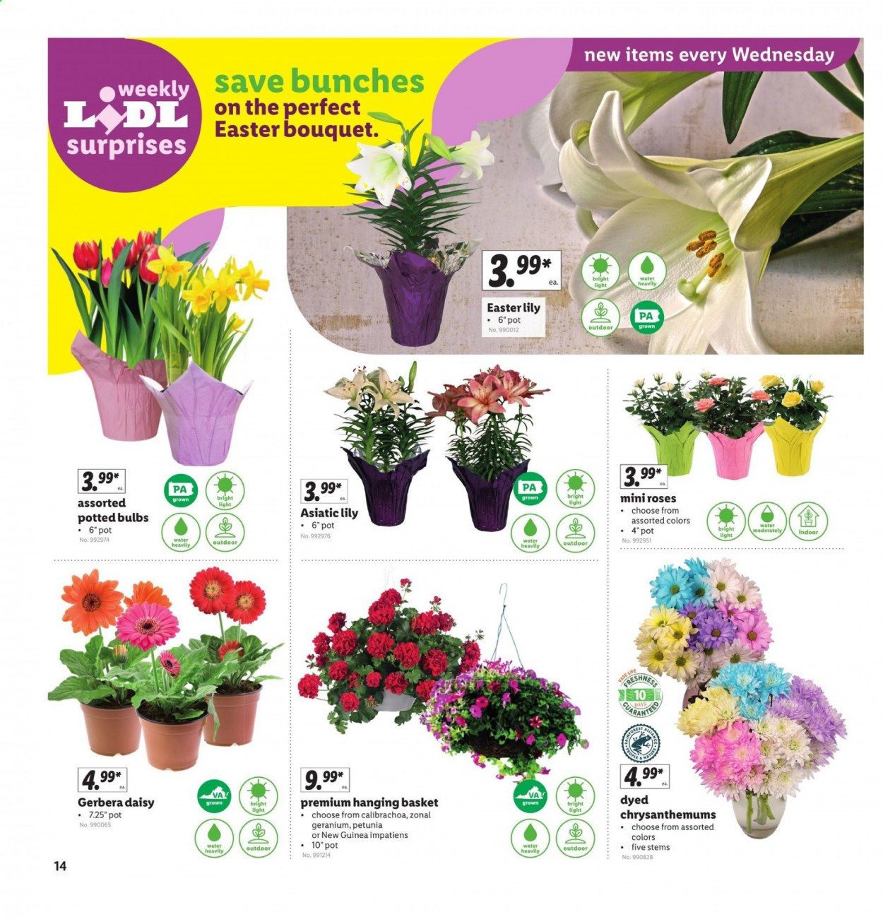 Lidl Weekly Ad Flyer March 31 to April 6