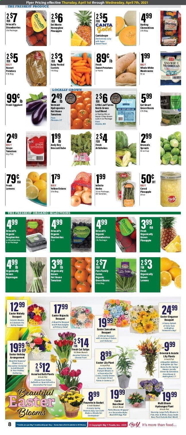 Big Y (MA) Weekly Ad Flyer March 1 to April 7