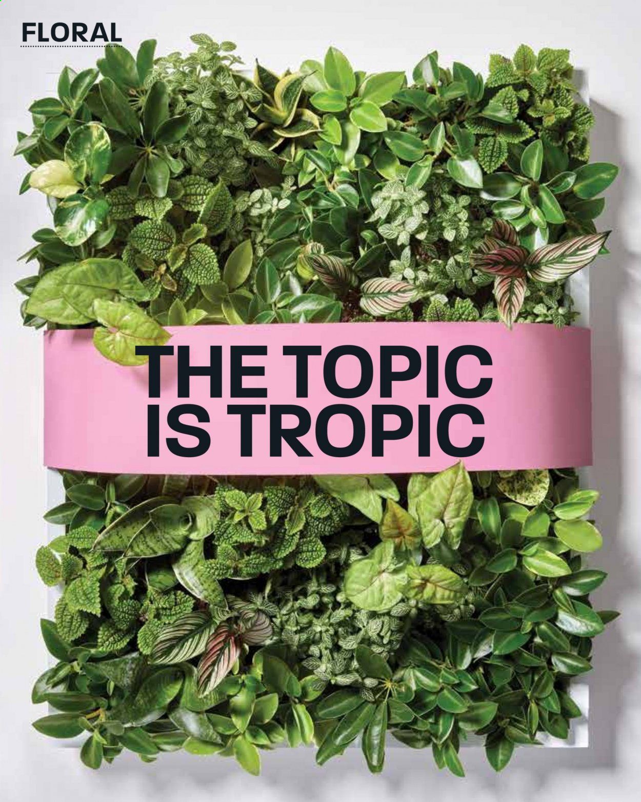 Hy-Vee (IA, IL, KS, MN, MO, NE, SD, WI) Weekly Ad Flyer April 1 to April 30