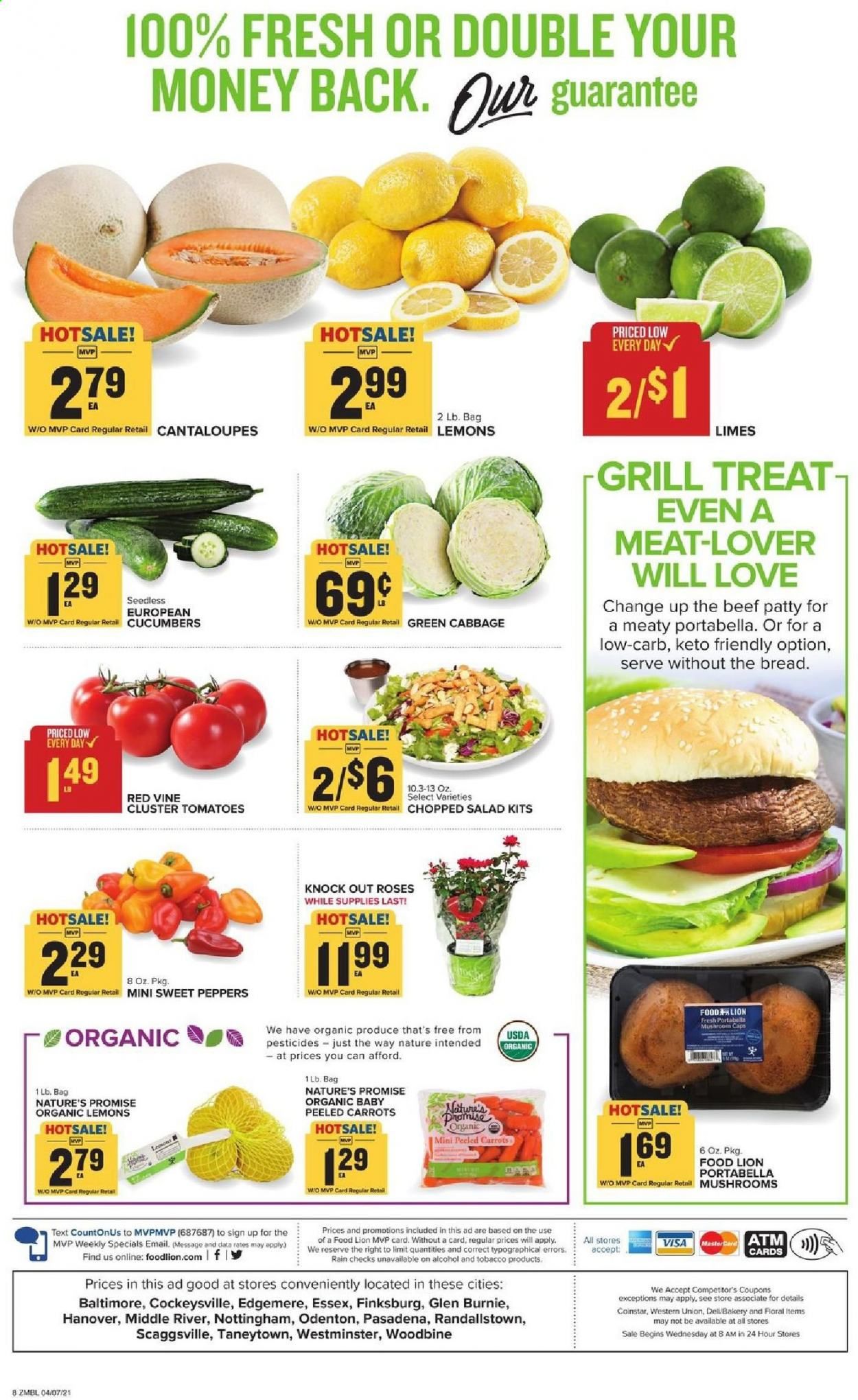 Food Lion (MD) Weekly Ad Flyer April 7 to April 13