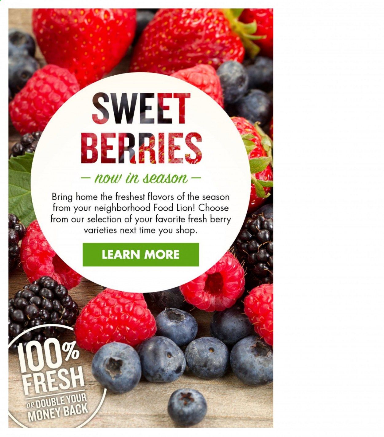 Food Lion (NC) Weekly Ad Flyer April 7 to April 13