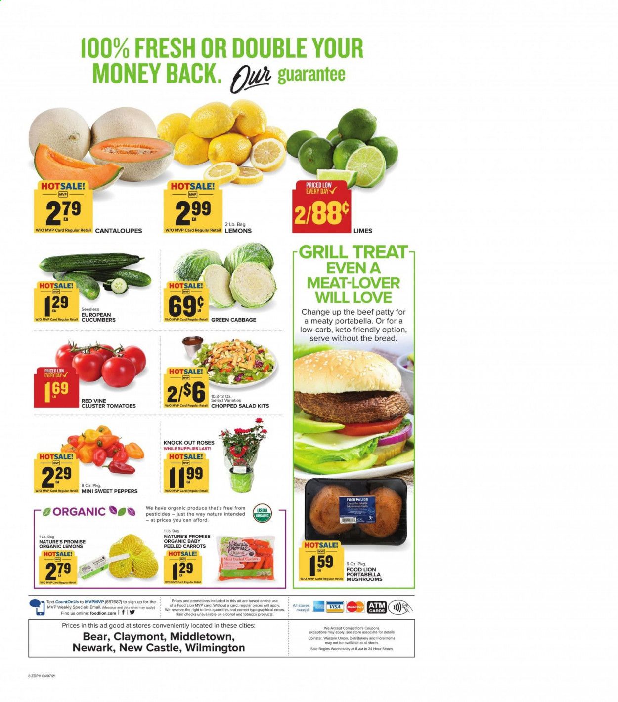 Food Lion (DE) Weekly Ad Flyer April 7 to April 13