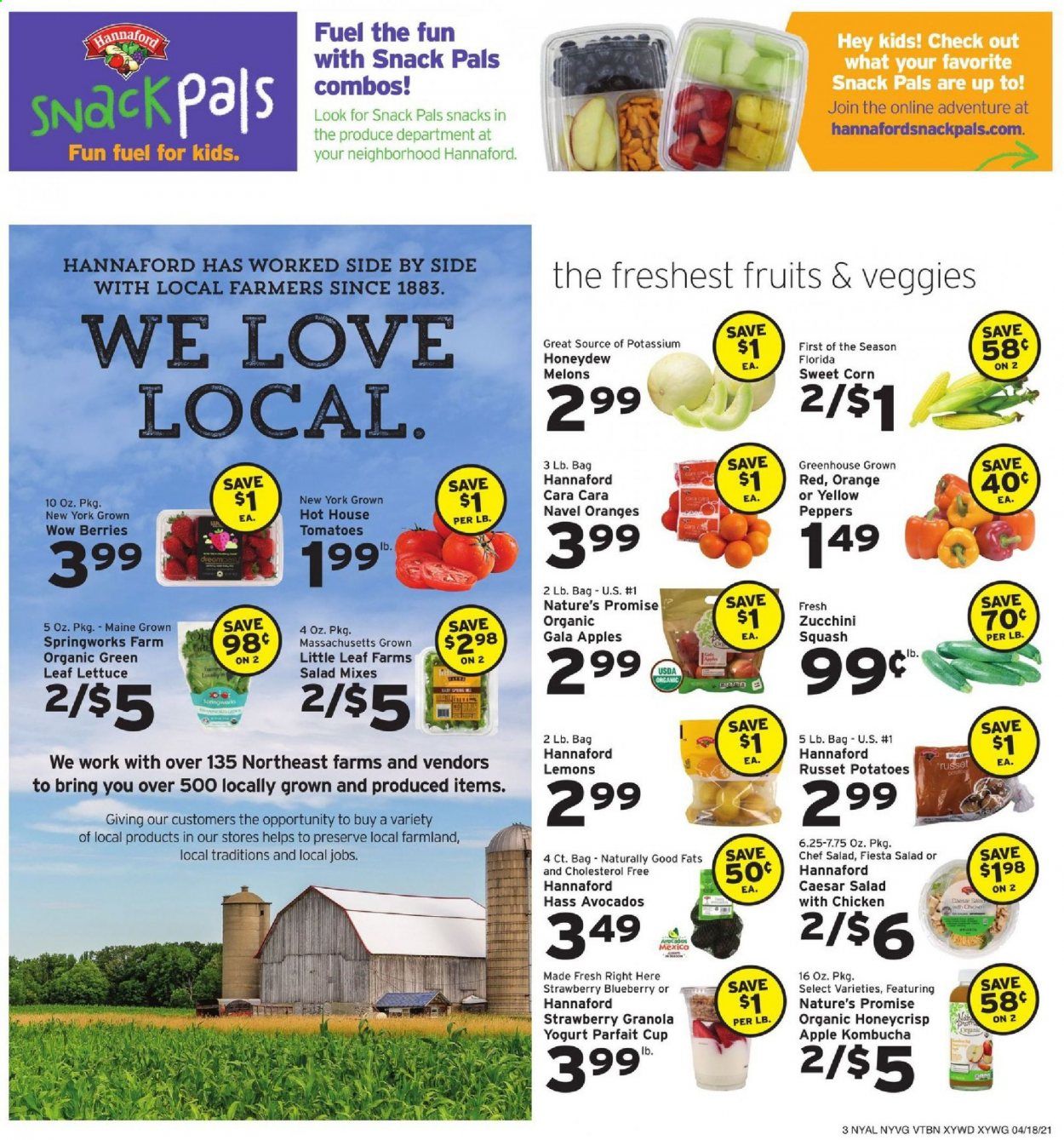 Hannaford (NY) Weekly Ad Flyer April 18 to April 24