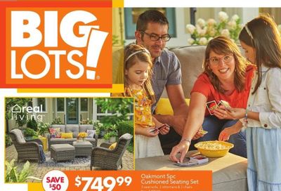 Big Lots Weekly Ad Flyer April 17 to April 24