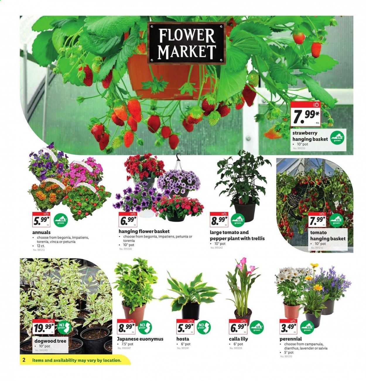 Lidl Weekly Ad Flyer April 21 to April 27