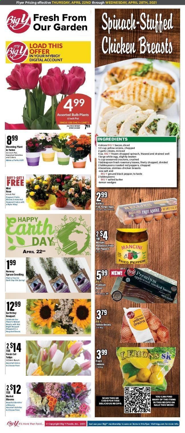Big Y (CT) Weekly Ad Flyer April 22 to April 28