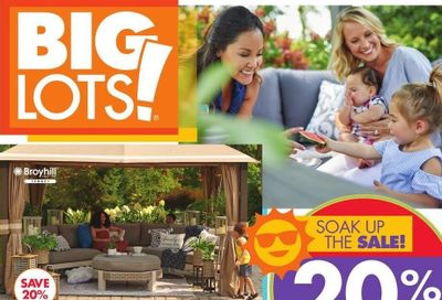 Big Lots Weekly Ad Flyer April 24 to May 1