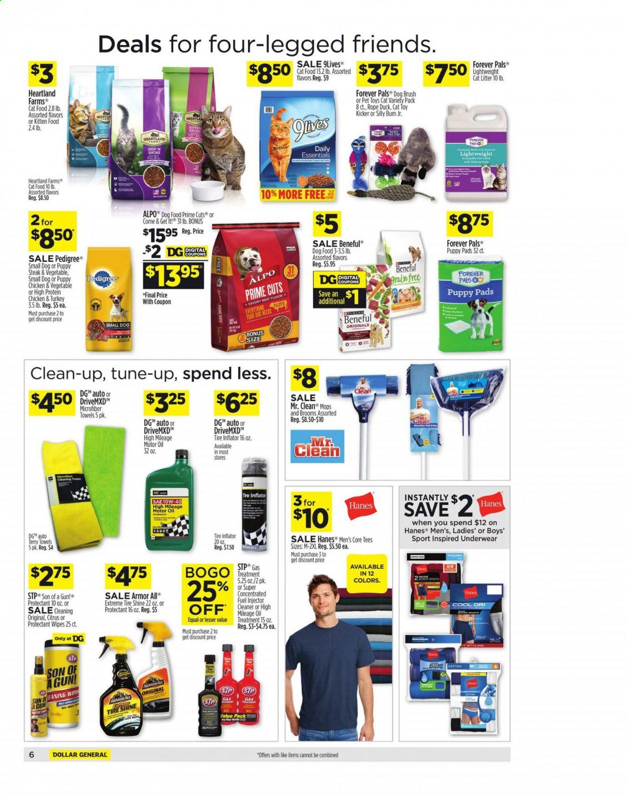 Dollar General (FL) Weekly Ad Flyer April 25 to May 1