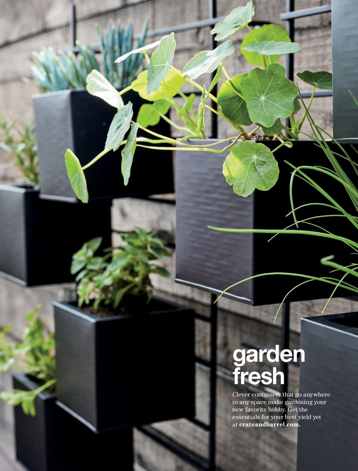 Crate & Barrel Weekly Ad Flyer April 29 to May 6