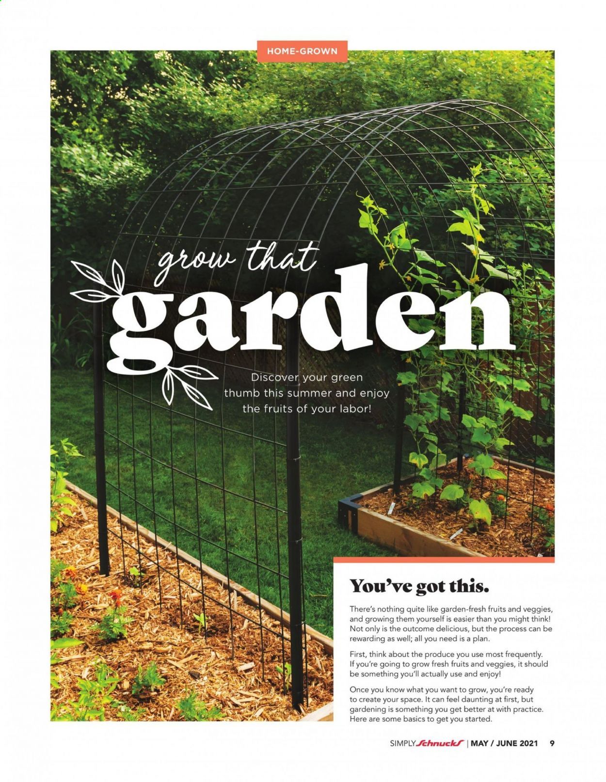 Schnucks (IA, IL, IN, MO, WI) Weekly Ad Flyer May 1 to June 30