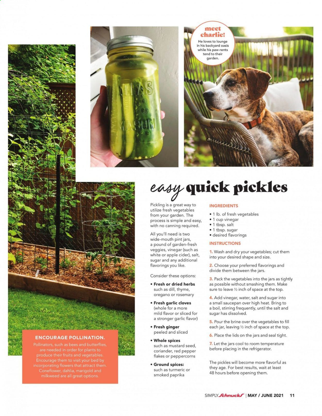 Schnucks (IA, IL, IN, MO, WI) Weekly Ad Flyer May 1 to June 30