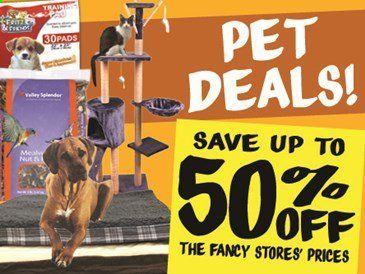 Ollie's Bargain Outlet Weekly Ad Flyer May 1 to May 31