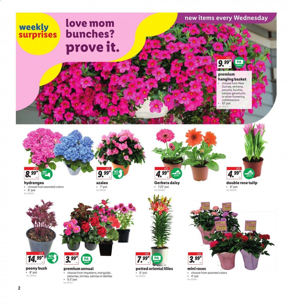 Lidl Weekly Ad Flyer May 5 to May 11