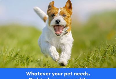 PetSmart Weekly Ad Flyer May 3 to June 6