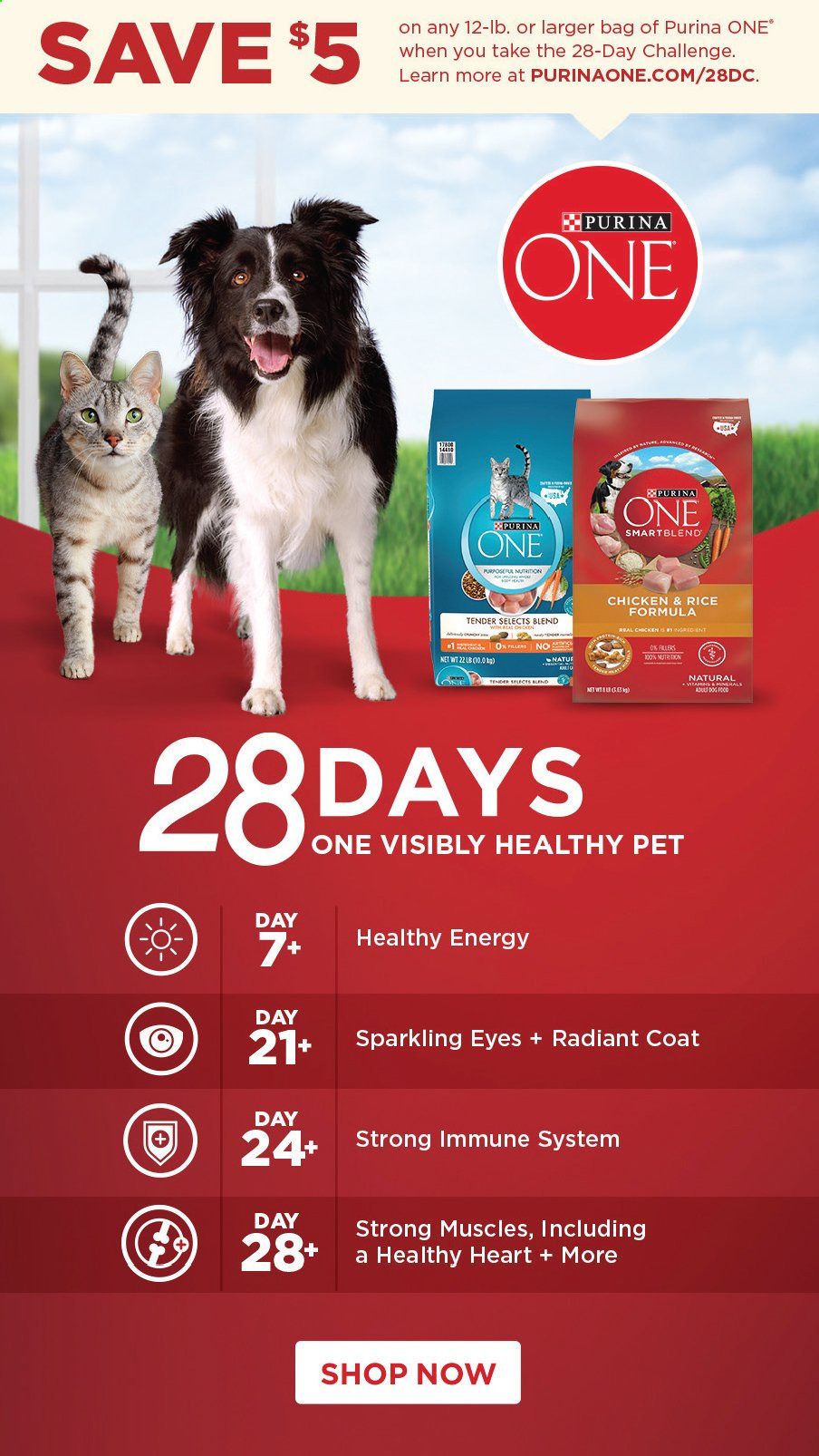 PetSmart Weekly Ad Flyer May 3 to June 6