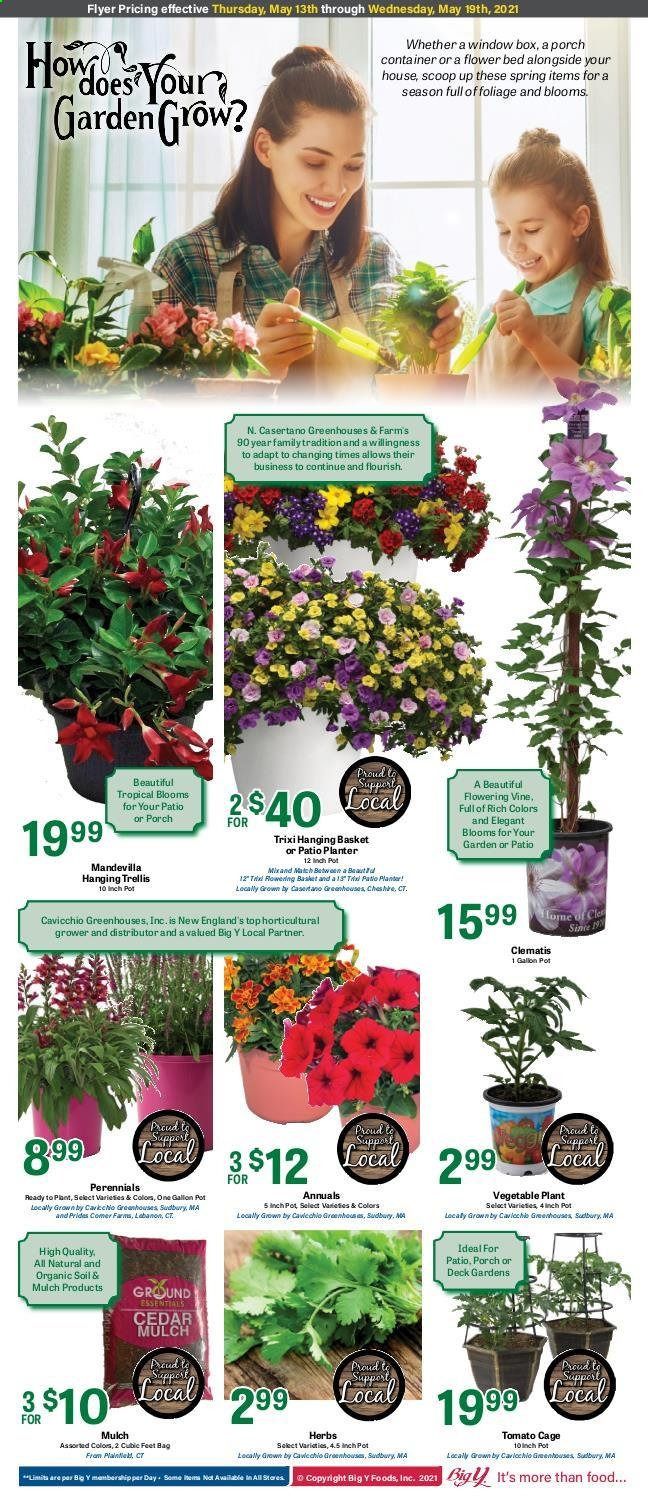 Big Y (MA) Weekly Ad Flyer May 13 to May 19