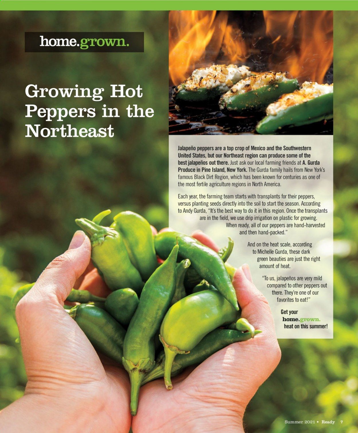 Price Chopper (CT, MA, NY, PA, VT) Weekly Ad Flyer May 15 to May 22