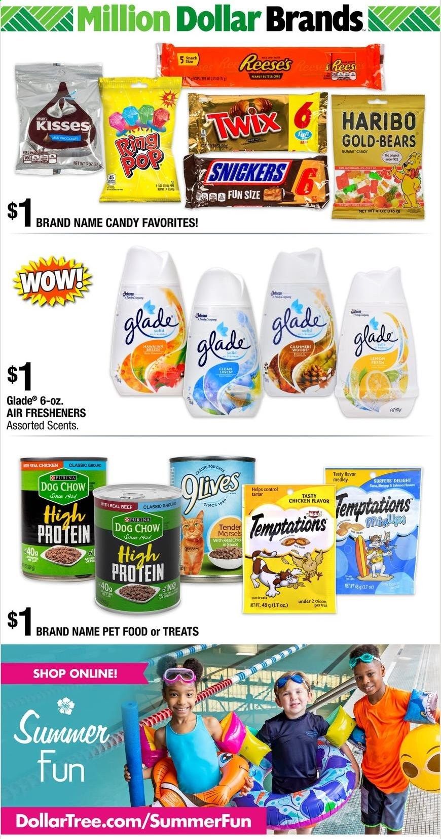 Dollar Tree Weekly Ad Flyer May 16 to May 29
