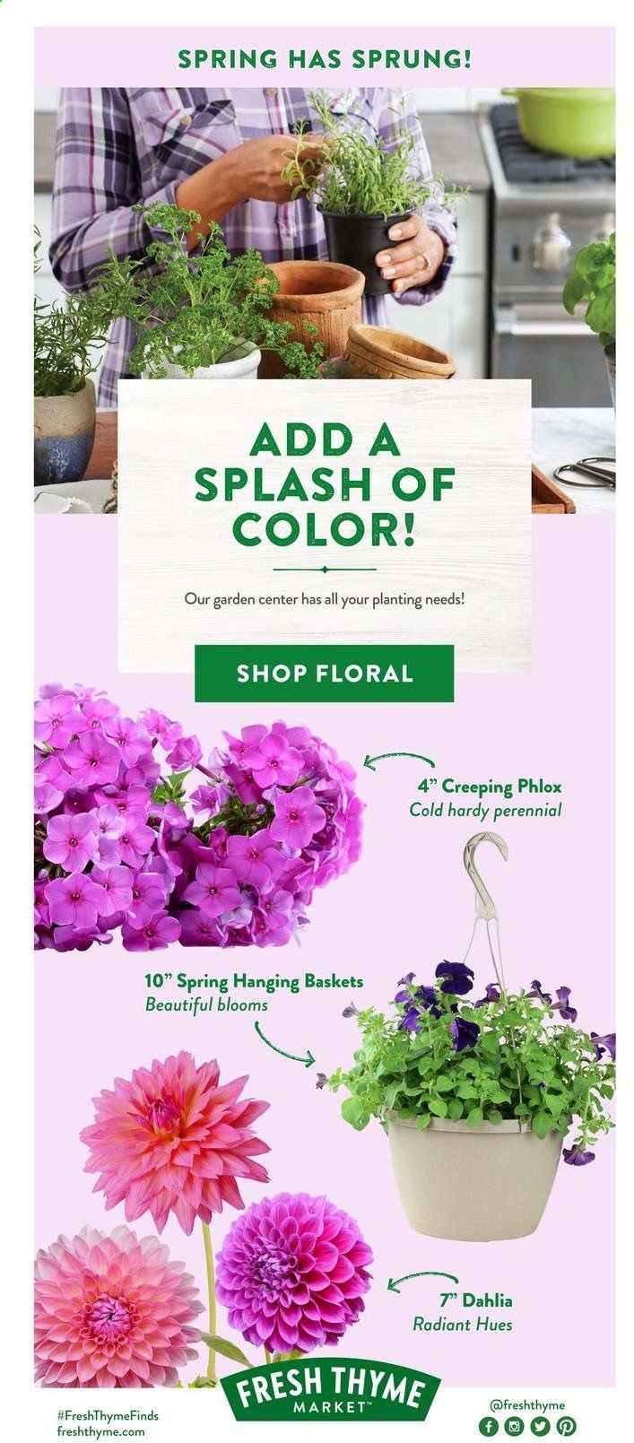 Fresh Thyme Weekly Ad Flyer May 19 to May 25