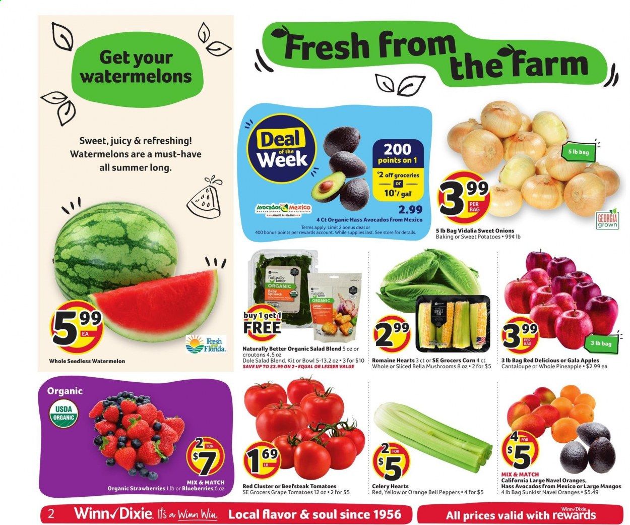 Winn Dixie (AL, FL, GA, LA) Weekly Ad Flyer May 19 to May 25