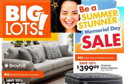 Big Lots Weekly Ad Flyer May 22 to June 5
