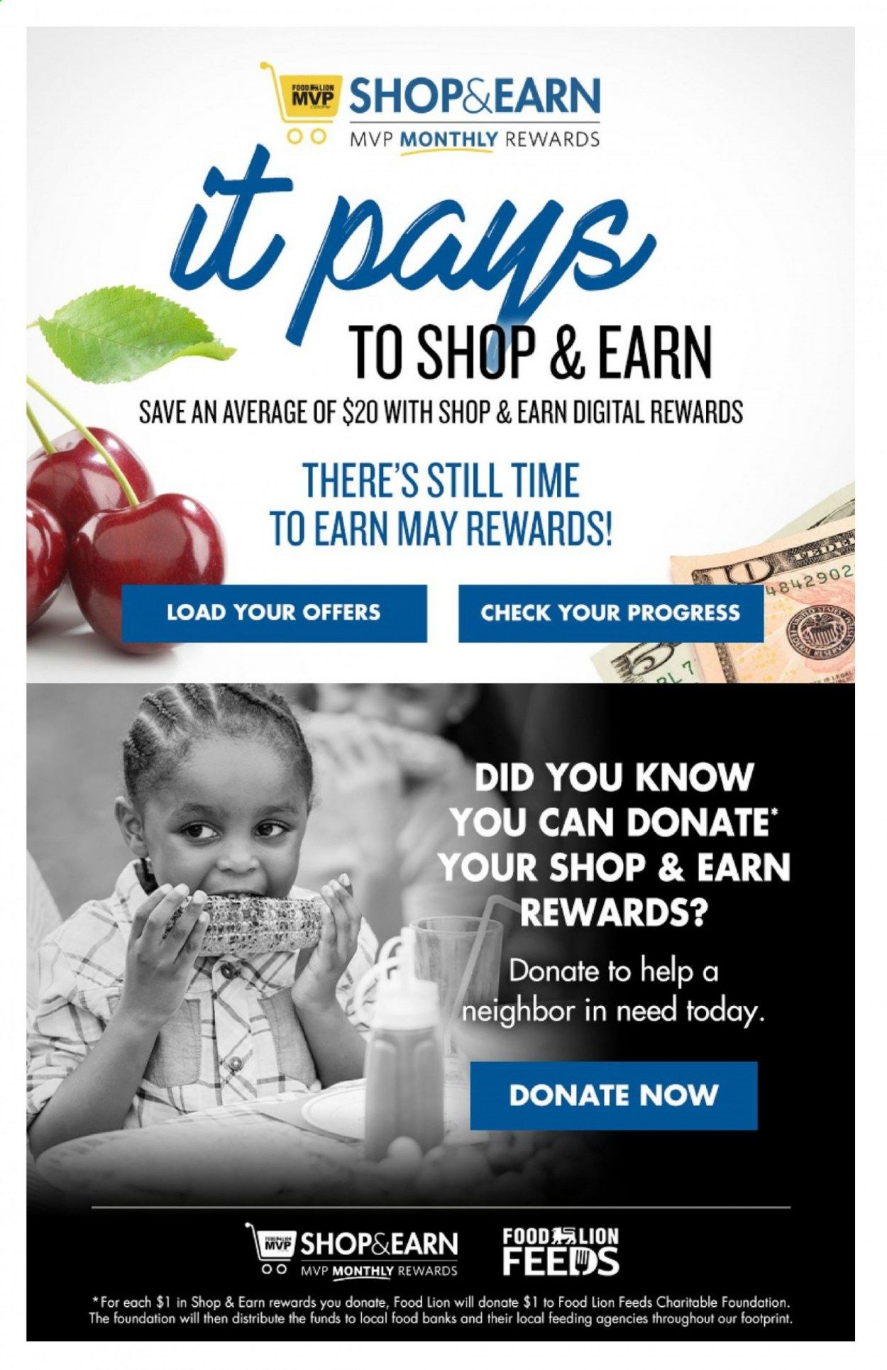 Food Lion (SC) Weekly Ad Flyer May 26 to June 1