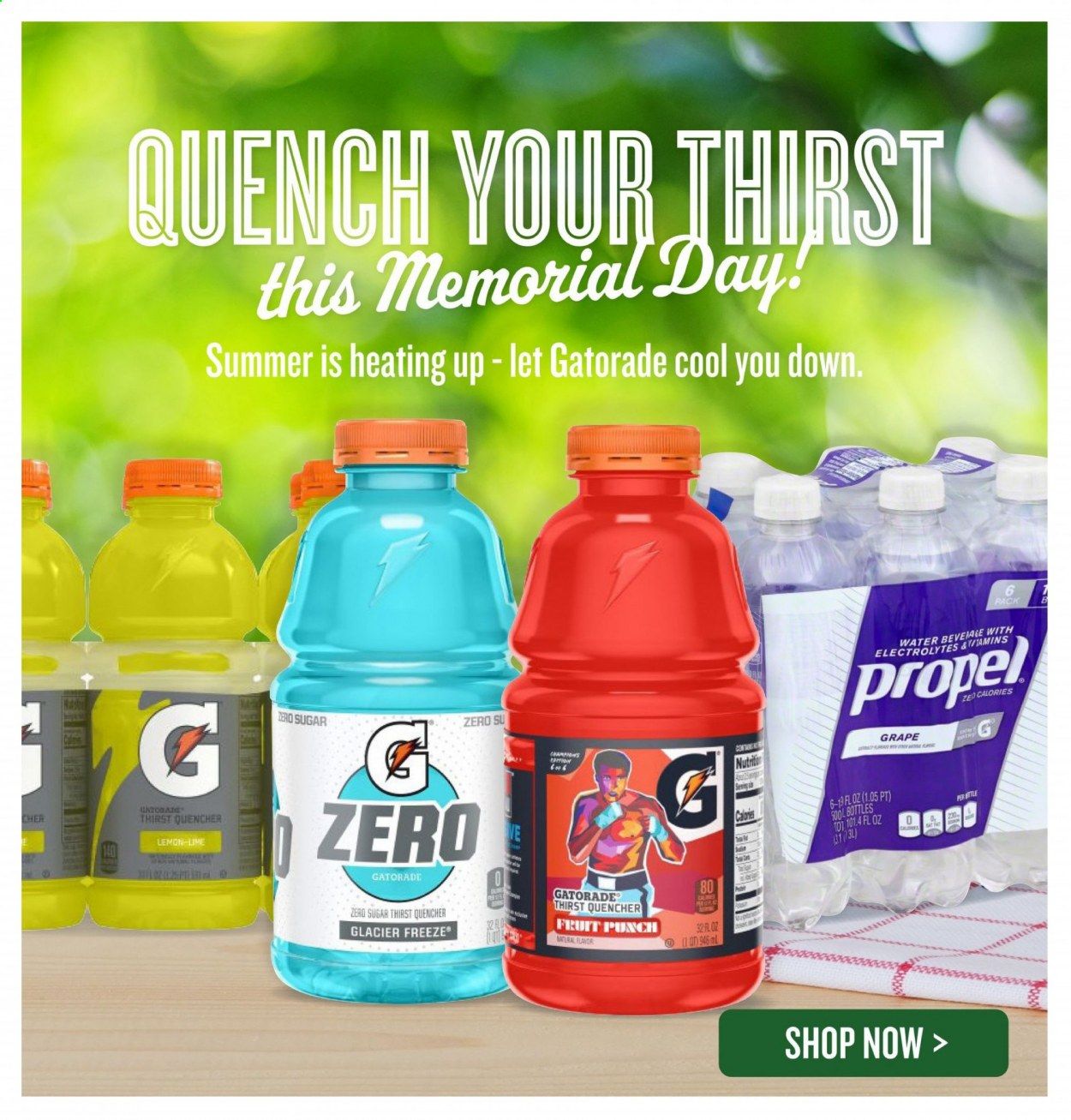 Lowes Foods (NC, SC) Weekly Ad Flyer May 26 to June 1