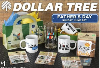 Dollar Tree Weekly Ad Flyer May 30 to June 12