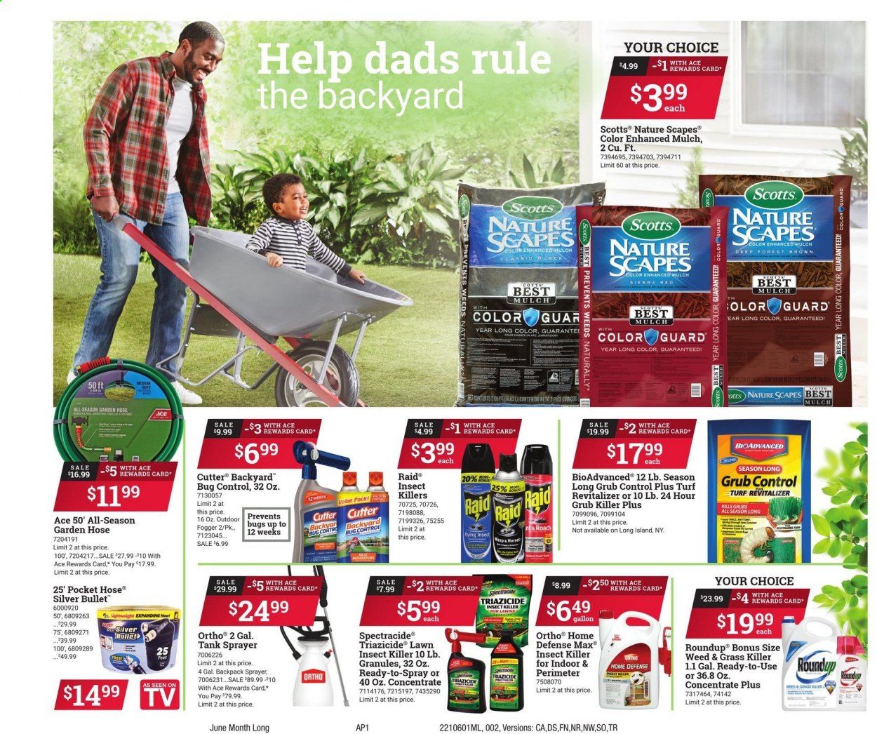 ACE Hardware Weekly Ad Flyer June 1 to June 29